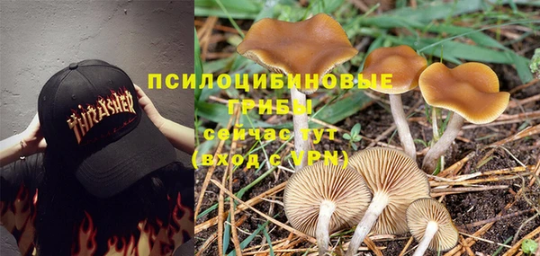 марки lsd Козловка