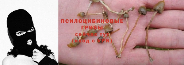 MDMA Premium VHQ Козельск